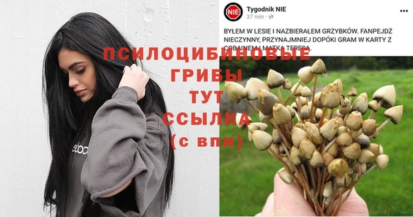 а пвп мука Алексин
