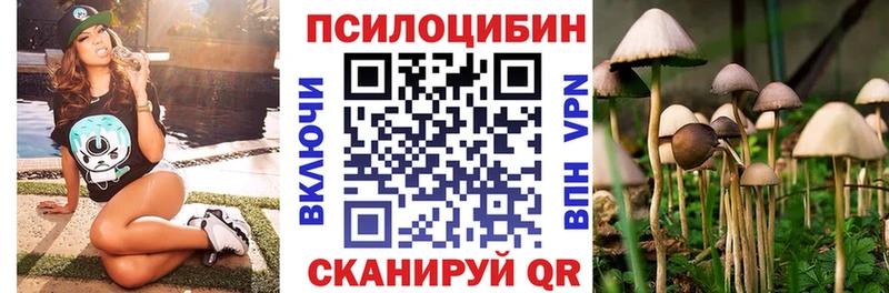 Галлюциногенные грибы GOLDEN TEACHER  наркошоп  Новотитаровская 