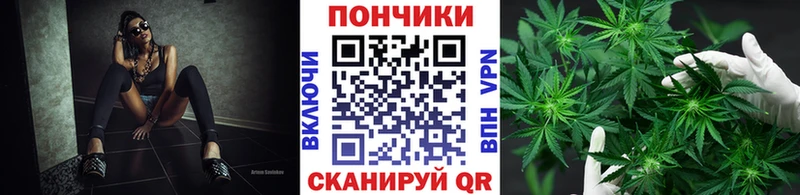 кракен ТОР  Новотитаровская  Шишки марихуана White Widow 